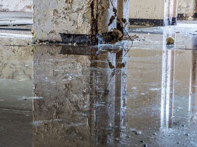 About Damage Control Restoration - water damage restoration experts in London